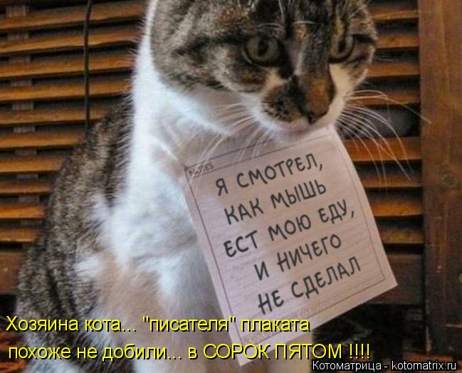 Хозяина кота... "писателя" плаката похоже не добили... в СОРОК ПЯТОМ !!!!... Котоматрица: Хозяина кота... "писателя" плаката похоже не добили... в СОРОК ПЯТОМ !!!!