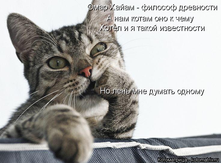 Омар Хайам - философ древности А нам котам оно к чему Хотел и я такой известности Но лень мне думать ... Котоматрица: Омар Хайам - философ древности А нам котам оно к чему Хотел и я такой известности Но лень мне думать одному