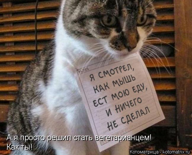 А я просто решил стать вегетарианцем! Как ты!... Котоматрица: А я просто решил стать вегетарианцем! Как ты!