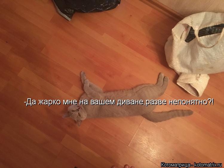 -Да жарко мне на вашем диване,разве непонятно?!... Котоматрица: -Да жарко мне на вашем диване,разве непонятно?!