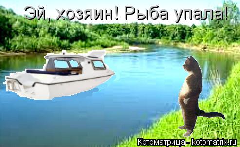 Эй, хозяин! Рыба упала!... Котоматрица: Эй, хозяин! Рыба упала!