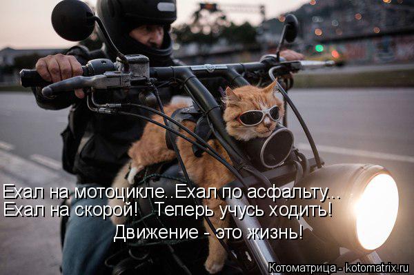 Движение - это жизнь! Ехал на скорой! Теперь учусь ходить! Ехал на мотоцикле..Ехал по асфальту...... Котоматрица: Движение - это жизнь! Ехал на скорой! Теперь учусь ходить! Ехал на мотоцикле..Ехал по асфальту...
