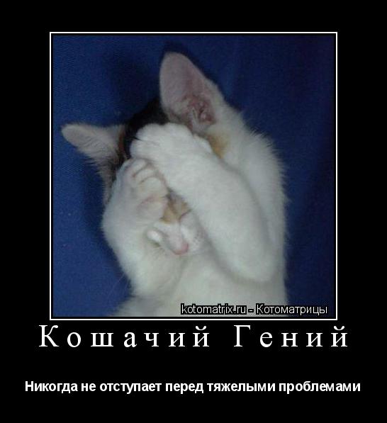 Кошачий Гений Никогда не отступает перед тяжелыми проблемами... Котоматрица: Кошачий Гений Никогда не отступает перед тяжелыми проблемами