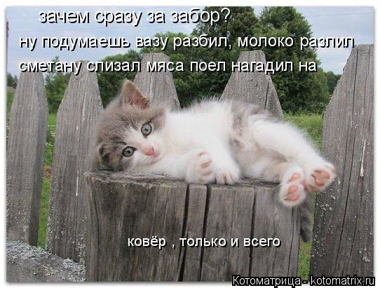 зачем сразу за забор? ну подумаешь вазу разбил, молоко разлил сметану слизал мяса поел нагадил на ко... Котоматрица: зачем сразу за забор? ну подумаешь вазу разбил, молоко разлил сметану слизал мяса поел нагадил на ковёр , только и всего