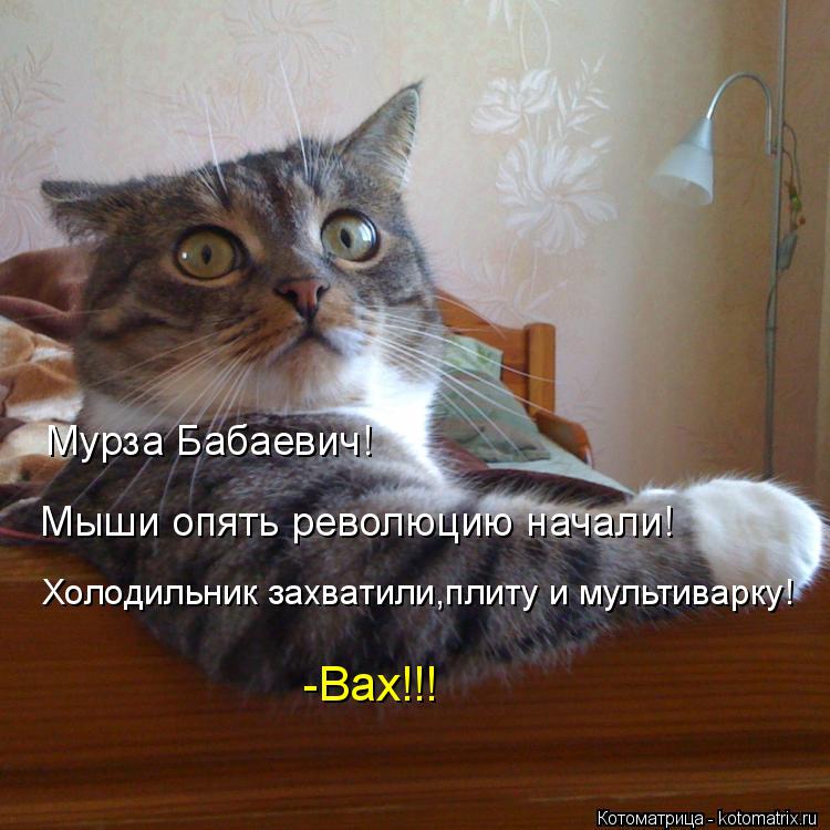 Мурза Бабаевич! Мыши опять революцию начали! Холодильник захватили,плиту и мультиварку! -Вах!!!... Котоматрица: Мурза Бабаевич! Мыши опять революцию начали! Холодильник захватили,плиту и мультиварку! -Вах!!!