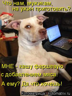 Что нам, мужикам, на ужин приготовить? МНЕ - кашу фаршевую с добавлением мяса. А ему? Да что хочешь... Котоматрица: Что нам, мужикам, на ужин приготовить? МНЕ - кашу фаршевую с добавлением мяса. А ему? Да что хочешь!