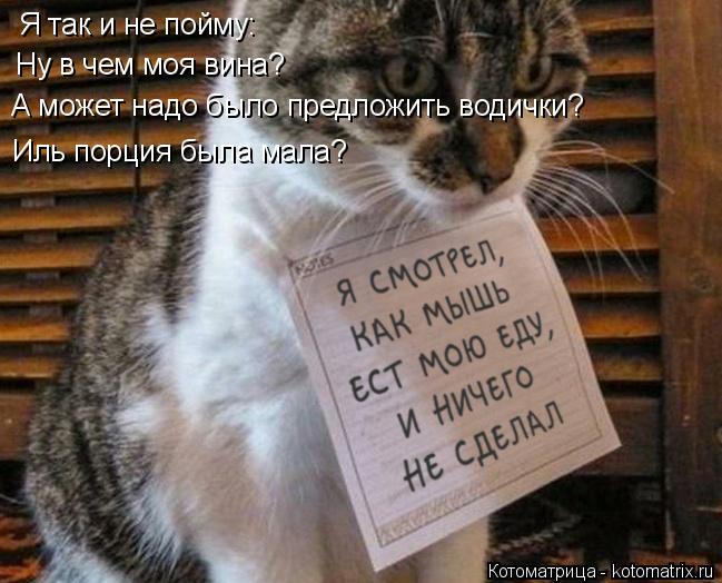 Я так и не пойму: Ну в чем моя вина? А может надо было предложить водички? Иль порция была мала?... Котоматрица: Я так и не пойму: Ну в чем моя вина? А может надо было предложить водички? Иль порция была мала?