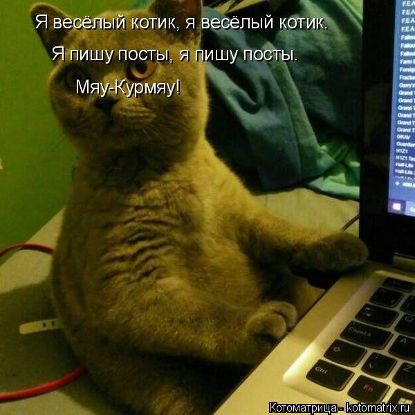 Я весёлый котик, я весёлый котик. Я пишу посты, я пишу посты. Мяу-Курмяу!... Котоматрица: Я весёлый котик, я весёлый котик. Я пишу посты, я пишу посты. Мяу-Курмяу!