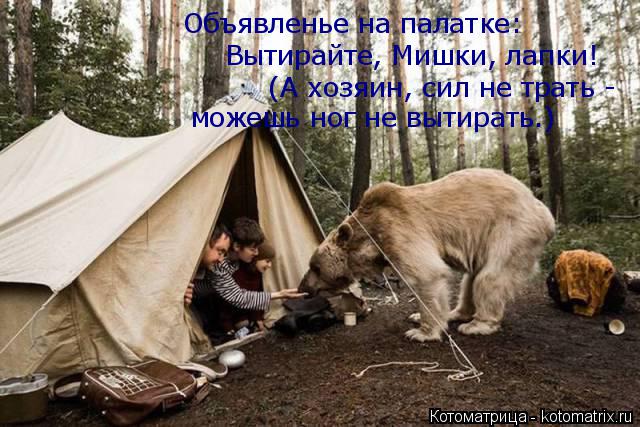 Объявленье на палатке: Вытирайте, Мишки, лапки! (А хозяин, сил не трать - можешь ног не вытирать.)... Котоматрица: Объявленье на палатке: Вытирайте, Мишки, лапки! (А хозяин, сил не трать - можешь ног не вытирать.)