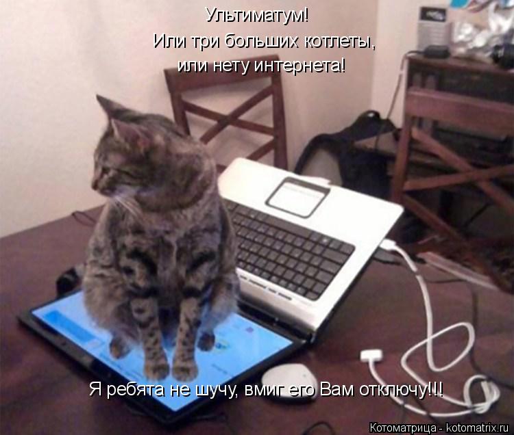Ультиматум! или нету интернета! Или три больших котлеты, Я ребята не шучу, вмиг его Вам отключу!!!... Котоматрица: Ультиматум! или нету интернета! Или три больших котлеты, Я ребята не шучу, вмиг его Вам отключу!!!