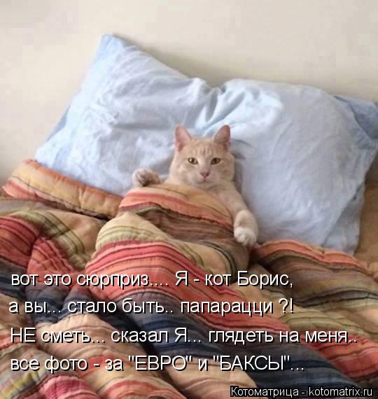 вот это сюрприз.... Я - кот Борис, а вы... стало быть.. папарацци ?! НЕ сметь... сказал Я... глядеть ... Котоматрица: вот это сюрприз.... Я - кот Борис, а вы... стало быть.. папарацци ?! НЕ сметь... сказал Я... глядеть на меня.. все фото - за "ЕВРО" и "БАКСЫ"...