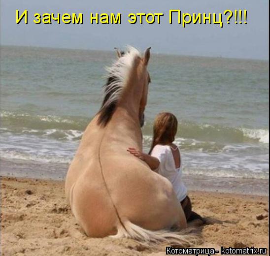 И зачем нам этот Принц?!!!... Котоматрица: И зачем нам этот Принц?!!!