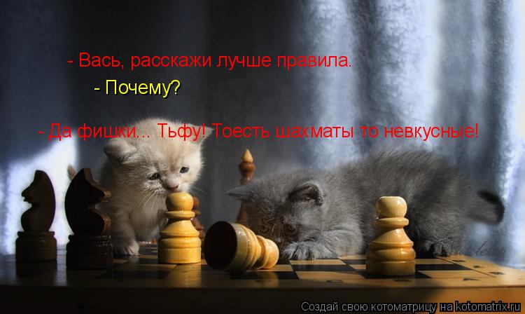 - Вась, расскажи лучше правила. - Почему? - Да фишки... Тьфу! Тоесть шахматы то невкусные!... Котоматрица: - Вась, расскажи лучше правила. - Почему? - Да фишки... Тьфу! Тоесть шахматы то невкусные!