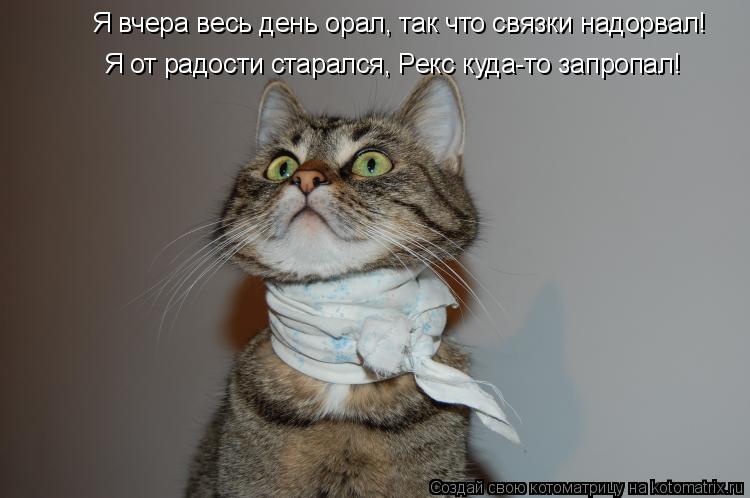Я вчера весь день орал, так что связки надорвал! Я от радости старался, Рекс куда-то запропал!... Котоматрица: Я вчера весь день орал, так что связки надорвал! Я от радости старался, Рекс куда-то запропал!