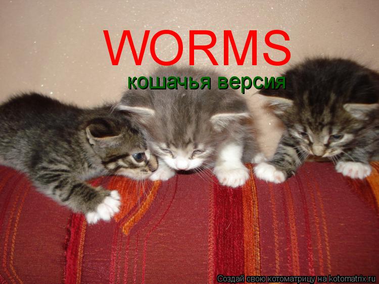 WORMS кошачья версия... Котоматрица: WORMS кошачья версия