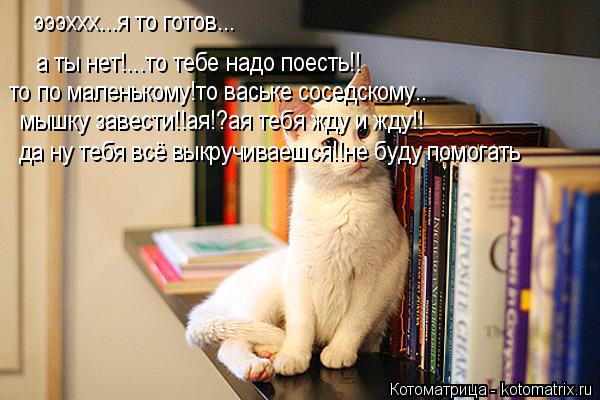 эээххх...я то готов... а ты нет!...то тебе надо поесть!! то по маленькому!то ваське соседскому.. мышк... Котоматрица: эээххх...я то готов... а ты нет!...то тебе надо поесть!! то по маленькому!то ваське соседскому.. мышку завести!!ая!?ая тебя жду и жду!! да ну тебя вс
