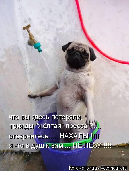 что вы здесь потеряли, трижды "жёлтая" пресса ?.... отвернитесь..... НАХАЛЫ !!!! я -то в душ к вам ..... Котоматрица: что вы здесь потеряли, трижды "жёлтая" пресса ?.... отвернитесь..... НАХАЛЫ !!!! я -то в душ к вам ... НЕ ЛЕЗУ !!!!