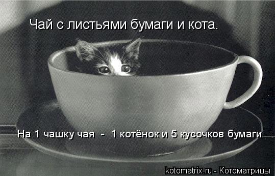 Чай с листьями бумаги и кота. На 1 чашку чая - 1 котёнок и 5 кусочков бумаги... Котоматрица: Чай с листьями бумаги и кота. На 1 чашку чая - 1 котёнок и 5 кусочков бумаги