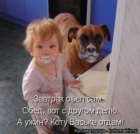 А ужин? Коту Ваське отдам! Обед, вот с другом делю. Завтрак съел сам.... Котоматрица: А ужин? Коту Ваське отдам! Обед, вот с другом делю. Завтрак съел сам.