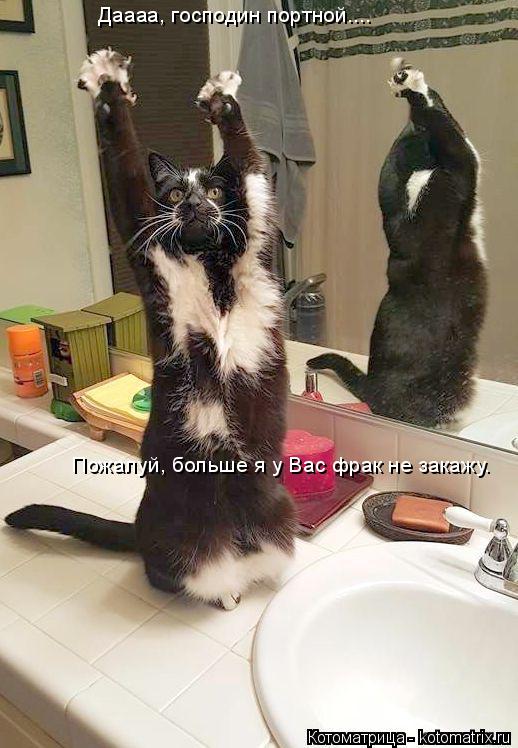 Пожалуй, больше я у Вас фрак не закажу. Даааа, господин портной....... Котоматрица: Пожалуй, больше я у Вас фрак не закажу. Даааа, господин портной....