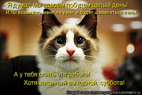 - Я думал мы вдвоём побудем целый день! И ты возьмёшь меня на руки и будет шевелиться лень! А у тебя... Котоматрица: - Я думал мы вдвоём побудем целый день! И ты возьмёшь меня на руки и будет шевелиться лень! А у тебя опять эта работа! Хотя законный выходной,