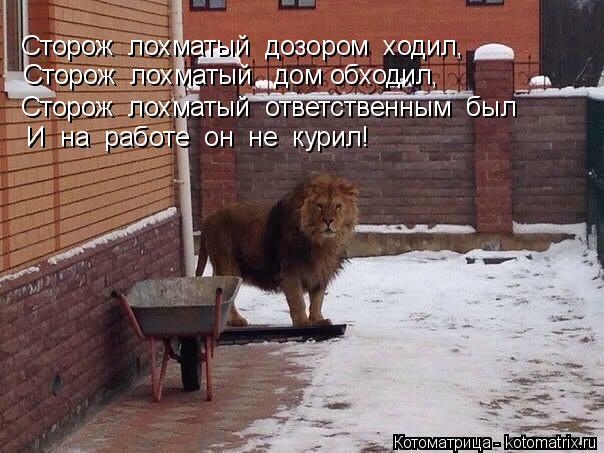 Сторож лохматый дом обходил, Сторож лохматый дозором ходил, Сторож лохматый ответственным бы... Котоматрица: Сторож лохматый дом обходил, Сторож лохматый дозором ходил, Сторож лохматый ответственным был И на работе он не курил!