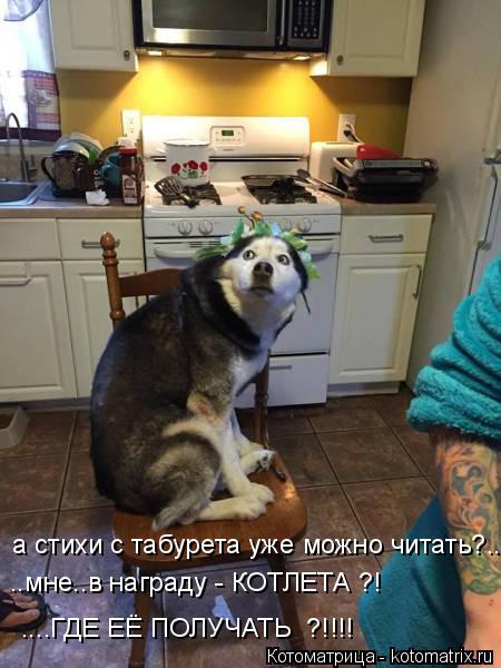 а стихи с табурета уже можно читать?.. ..мне..в награду - КОТЛЕТА ?! ....ГДЕ ЕЁ ПОЛУЧАТЬ ?!!!!... Котоматрица: а стихи с табурета уже можно читать?.. ..мне..в награду - КОТЛЕТА ?! ....ГДЕ ЕЁ ПОЛУЧАТЬ ?!!!!