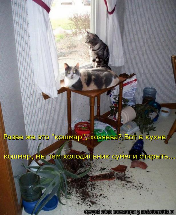 кошмар, мы там холодильник сумели открыть... Разве же это "кошмар", хозяева? Вот в кухне... Котоматрица: кошмар, мы там холодильник сумели открыть... Разве же это "кошмар", хозяева? Вот в кухне