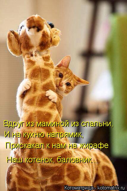 Вдруг из маминой из спальни, И на кухню напрямик, Прискакал к нам на жирафе Наш котенок, баловник...... Котоматрица: Вдруг из маминой из спальни, И на кухню напрямик, Прискакал к нам на жирафе Наш котенок, баловник...
