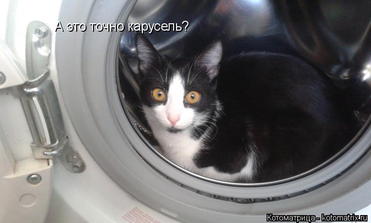 А это точно карусель?... Котоматрица: А это точно карусель?