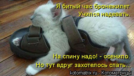 Я битый час бронежилет Учился надевать. Но тут вдруг захотелось спать... На спину надо! - осенило.... Котоматрица: Я битый час бронежилет Учился надевать. Но тут вдруг захотелось спать... На спину надо! - осенило.