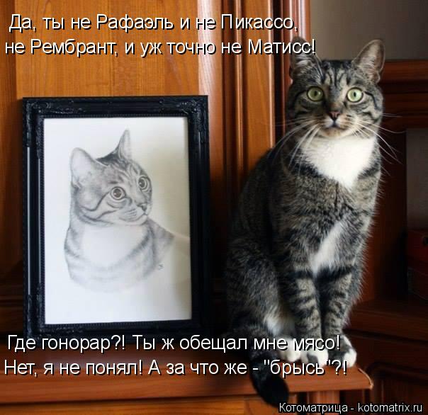 Да, ты не Рафаэль и не Пикассо, не Рембрант, и уж точно не Матисс! Где гонорар?! Ты ж обещал мне мясо... Котоматрица: Да, ты не Рафаэль и не Пикассо, не Рембрант, и уж точно не Матисс! Где гонорар?! Ты ж обещал мне мясо! Нет, я не понял! А за что же - "брысь"?!