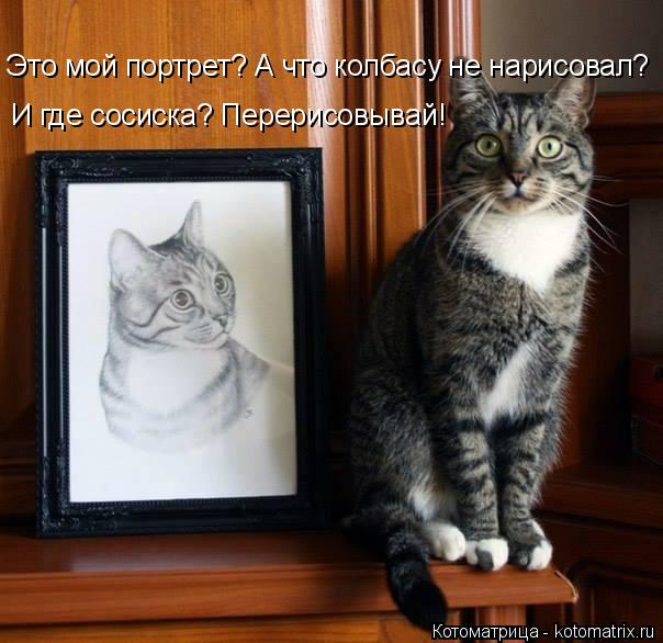 Это мой портрет? А что колбасу не нарисовал? И где сосиска? Перерисовывай!... Котоматрица: Это мой портрет? А что колбасу не нарисовал? И где сосиска? Перерисовывай!