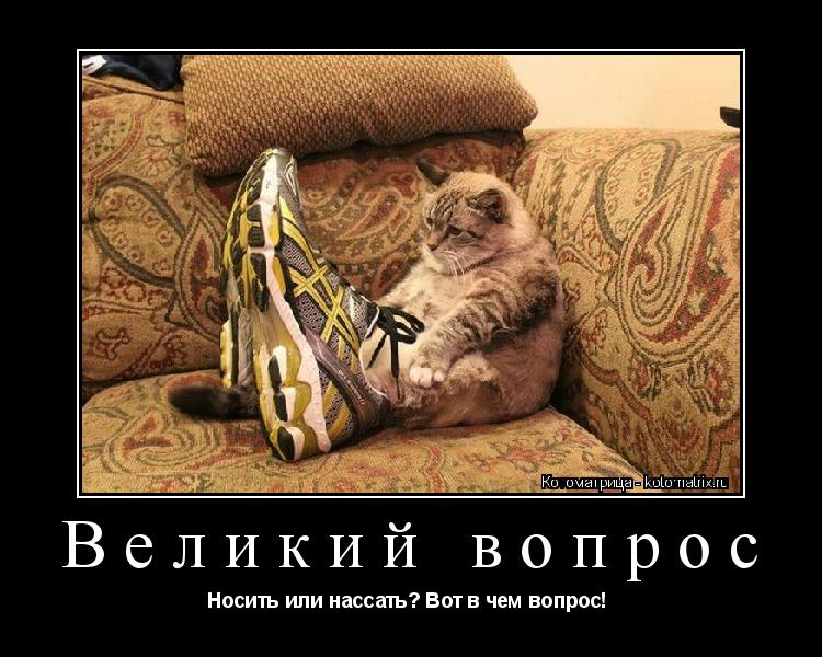 Великий вопрос Носить или нассать? Вот в чем вопрос! ... Котоматрица: Великий вопрос Носить или нассать? Вот в чем вопрос!