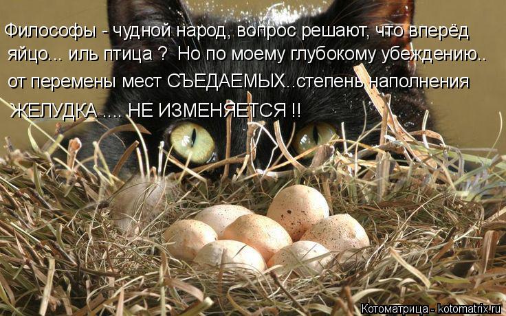 Философы - чудной народ, вопрос решают, что вперёд яйцо... иль птица ? Но по моему глубокому убежден... Котоматрица: Философы - чудной народ, вопрос решают, что вперёд яйцо... иль птица ? Но по моему глубокому убеждению.. от перемены мест СЪЕДАЕМЫХ..степень на