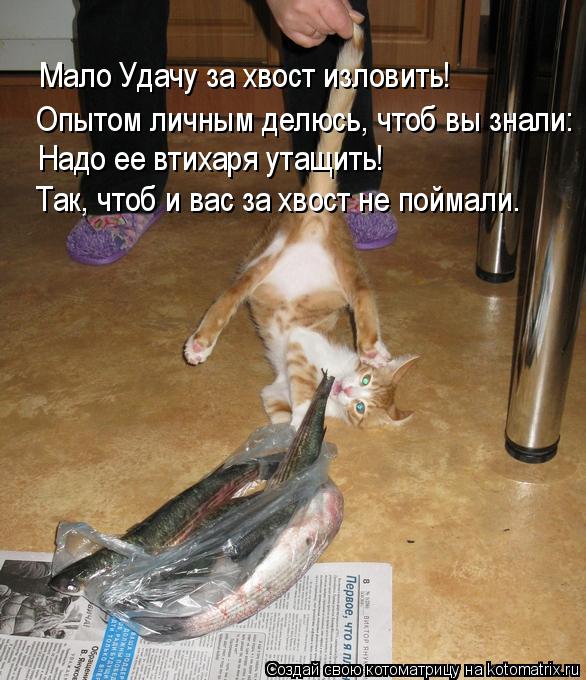 Мало Удачу за хвост изловить! Опытом личным делюсь, чтоб вы знали: Надо ее втихаря утащить! Так, чтоб... Котоматрица: Мало Удачу за хвост изловить! Опытом личным делюсь, чтоб вы знали: Надо ее втихаря утащить! Так, чтоб и вас за хвост не поймали.