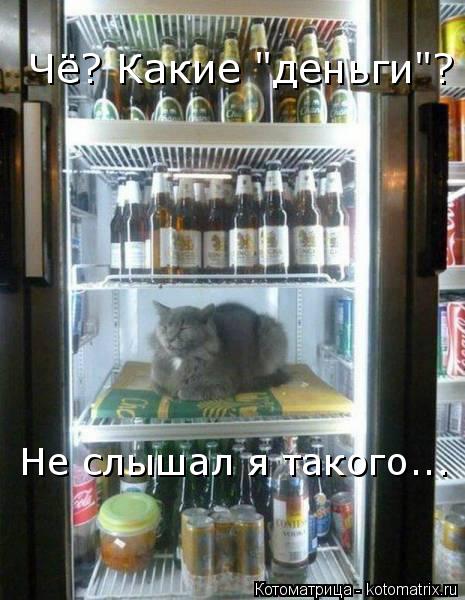 Чё? Какие "деньги"? Не слышал я такого...... Котоматрица: Чё? Какие "деньги"? Не слышал я такого...