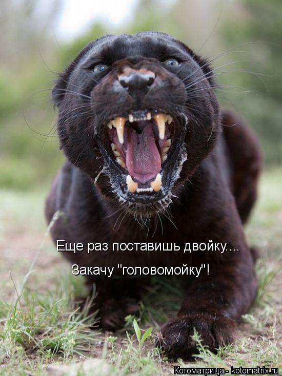 Еще раз поставишь двойку.... Закачу "головомойку"!... Котоматрица: Еще раз поставишь двойку.... Закачу "головомойку"!