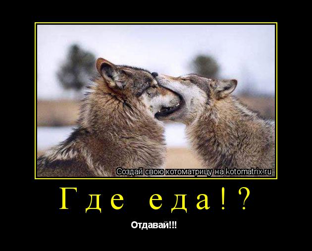 Где еда!? Отдавай!!! ... Котоматрица: Где еда!? Отдавай!!!