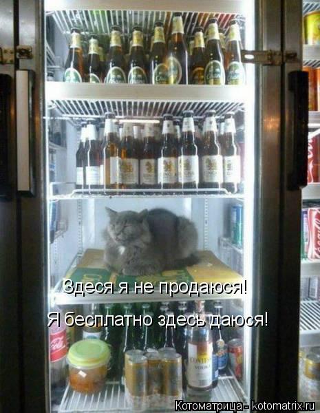 Здеся я не продаюся! Я бесплатно здесь даюся!... Котоматрица: Здеся я не продаюся! Я бесплатно здесь даюся!