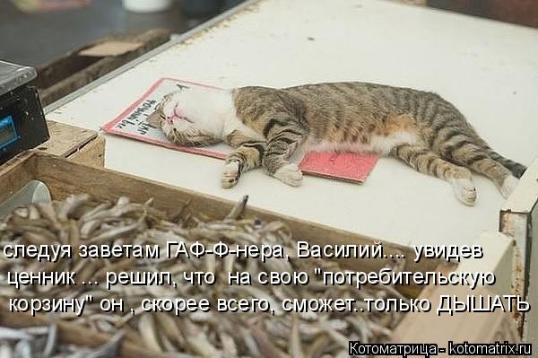 следуя заветам ГАФ-Ф-нера, Василий.... увидев ценник ... решил, что на свою "потребительскую корзину... Котоматрица: следуя заветам ГАФ-Ф-нера, Василий.... увидев ценник ... решил, что на свою "потребительскую корзину" он , скорее всего, сможет..только ДЫШАТЬ