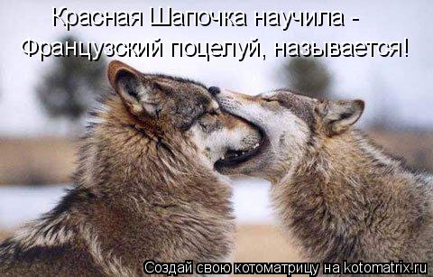 Красная Шапочка научила - Французский поцелуй, называется!... Котоматрица: Красная Шапочка научила - Французский поцелуй, называется!