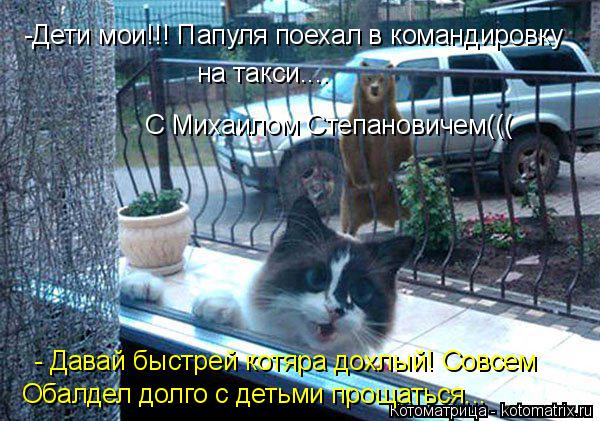 -Дети мои!!! Папуля поехал в командировку на такси.... - Давай быстрей котяра дохлый! Совсем Обалдел ... Котоматрица: -Дети мои!!! Папуля поехал в командировку на такси.... - Давай быстрей котяра дохлый! Совсем Обалдел долго с детьми прощаться... С Михаилом Степ
