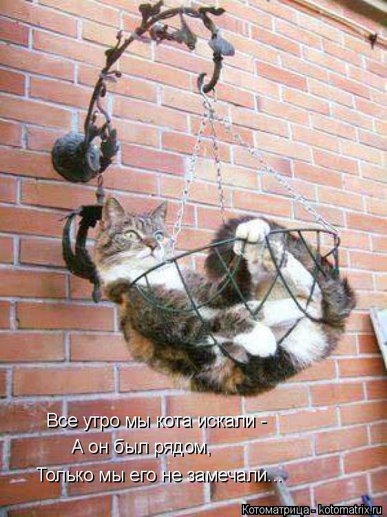 Все утро мы кота искали - А он был рядом, Только мы его не замечали...... Котоматрица: Все утро мы кота искали - А он был рядом, Только мы его не замечали...