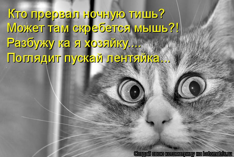 Кто прервал ночную тишь? Может там скребется мышь?! Разбужу ка я хозяйку.... Поглядит пускай лентяйка... Котоматрица: Кто прервал ночную тишь? Может там скребется мышь?! Разбужу ка я хозяйку.... Поглядит пускай лентяйка...