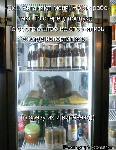 -Ох... Виганяют меня. Но яж рабо- То смотрю штоб не спортились а когда испортились таю. То стерегу пр... Котоматрица: -Ох... Виганяют меня. Но яж рабо- То смотрю штоб не спортились а когда испортились таю. То стерегу продукт. То сразу их и випеваю)))