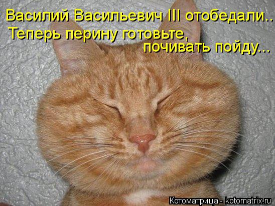 Василий Васильевич III отобедали... Теперь перину готовьте, почивать пойду...... Котоматрица: Василий Васильевич III отобедали... Теперь перину готовьте, почивать пойду...