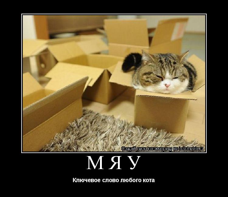 МЯУ Ключевое слово любого кота... Котоматрица: МЯУ Ключевое слово любого кота