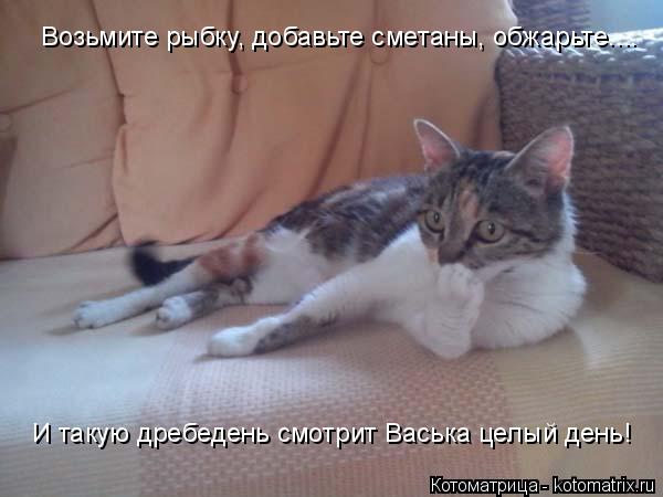 И такую дребедень смотрит Васька целый день! Возьмите рыбку, добавьте сметаны, обжарьте....... Котоматрица: И такую дребедень смотрит Васька целый день! Возьмите рыбку, добавьте сметаны, обжарьте....