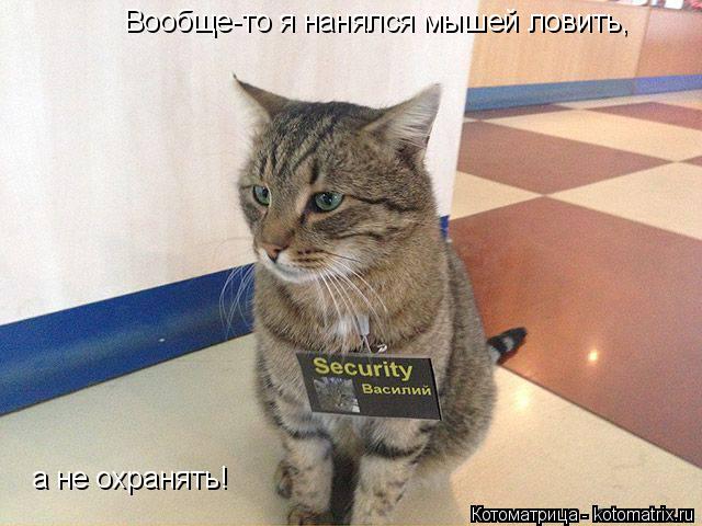 Вообще-то я нанялся мышей ловить, а не охранять!... Котоматрица: Вообще-то я нанялся мышей ловить, а не охранять!